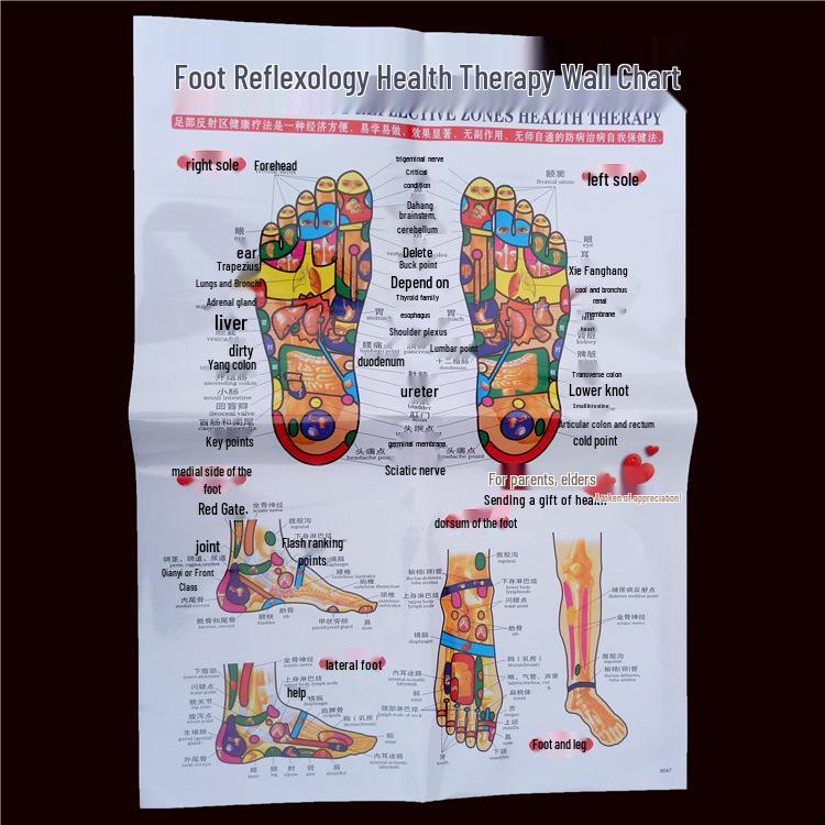 

Comprehensive Acupoint Diagram: Human Body, Ear, Foot, Sole & Palm Charts for Massage Therapy and Tuina