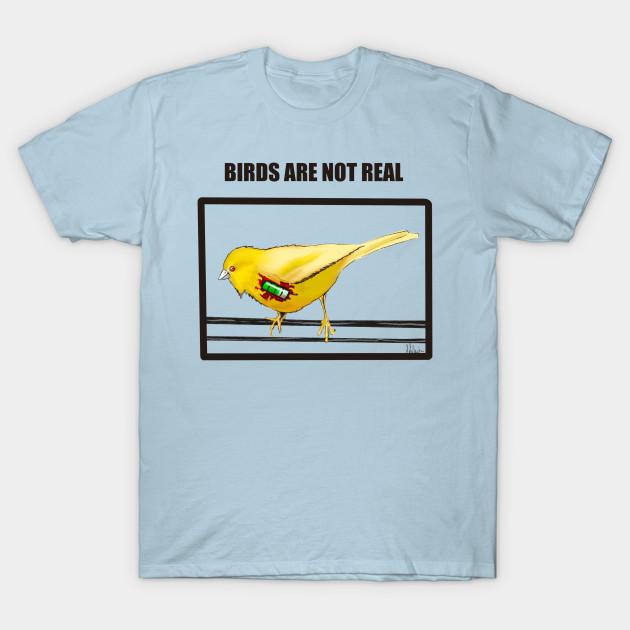 Men Black Print T-shirt Birds Are Not Real No-Cut Transfer Paper Print Cotton Tshirt XL светло-синий