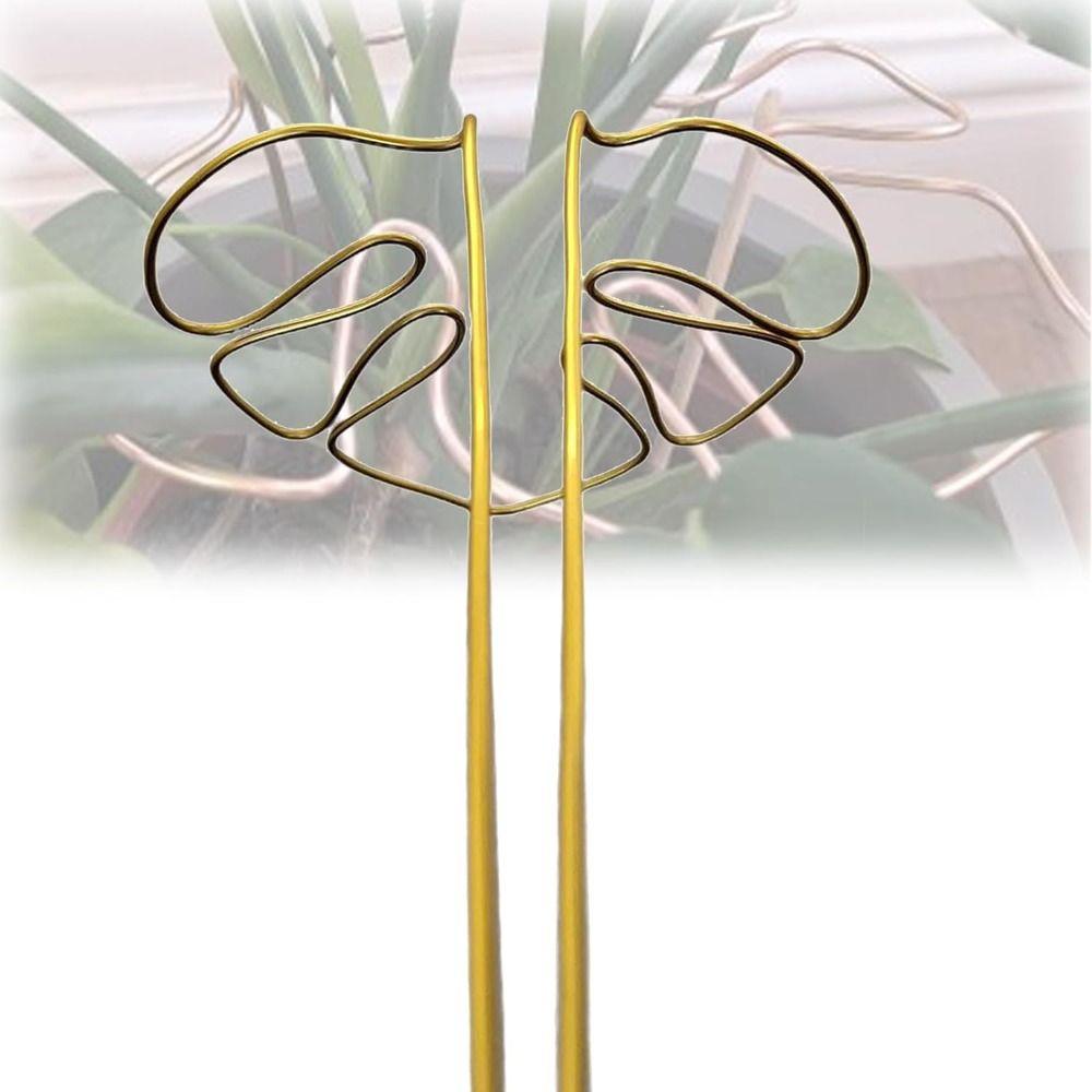 Support Branches Plant Support Ring Garden Tools Plant Retaining Support  for Flower Lovers