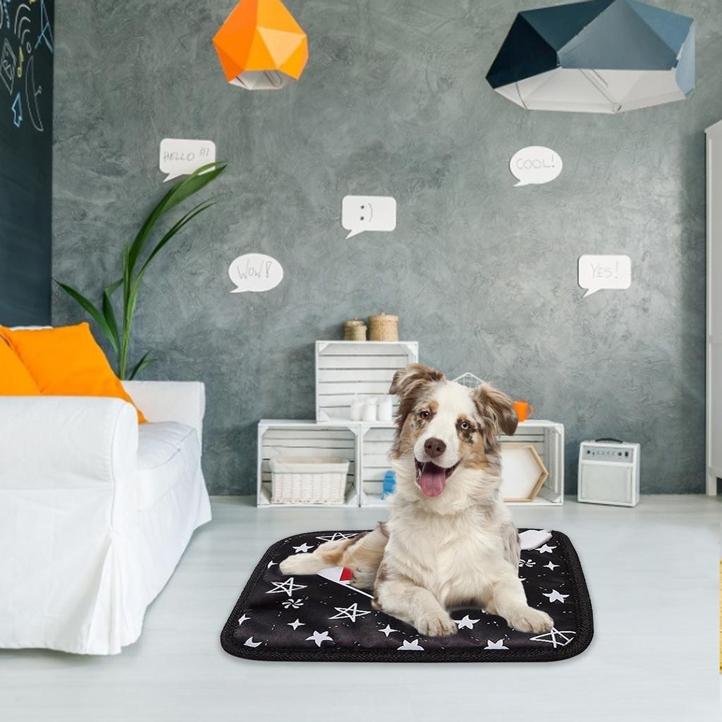 dog bed electric blankets