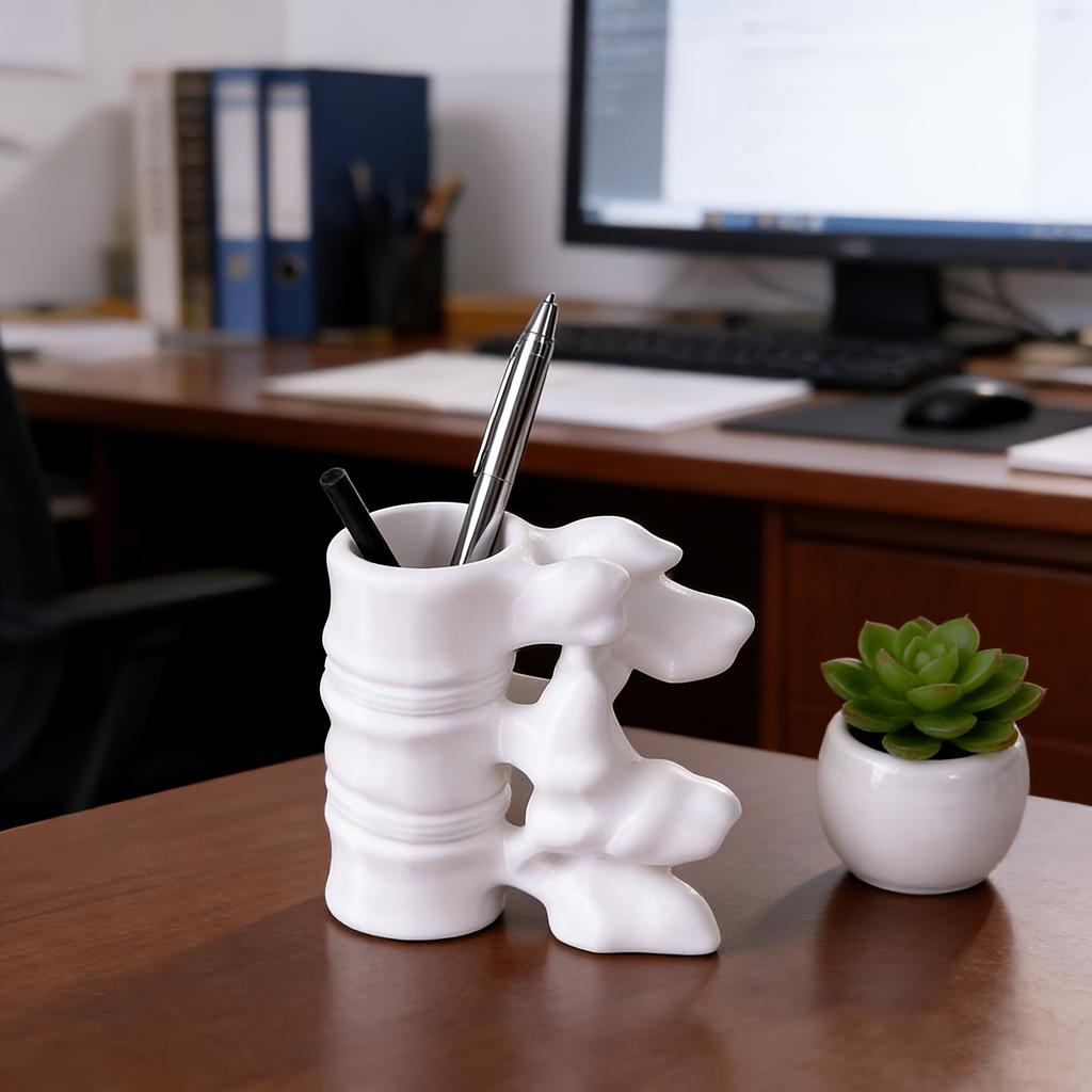 Spine Shape Pen Holder, Desktop Ornament & Stationery Organizer, Orthopedic Gift for Doctors, Teachers & Nurses