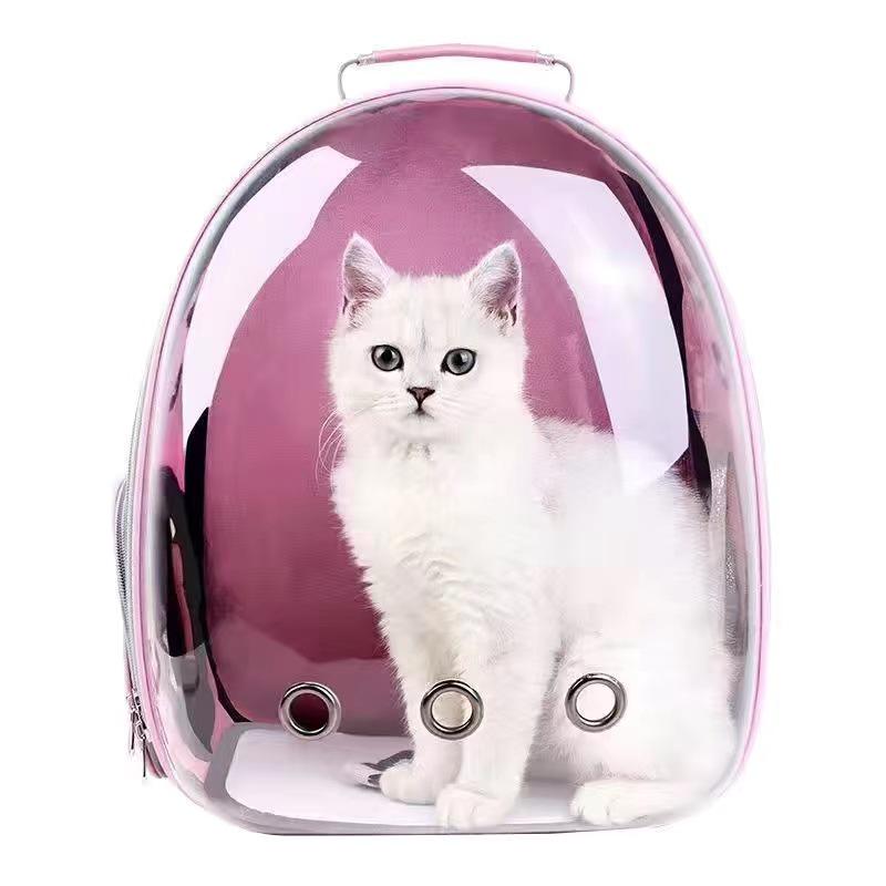 Transparent Double Shoulder Cat Backpack - Lightweight, Breathable & Panoramic Pet Bag for Outings