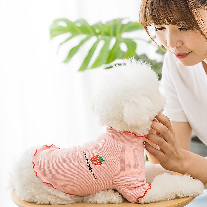 Cute Strawberry Bottoming Shirt Spring and Summer Thin Lace Breathable Puppy Solid Color Sweater Kitten