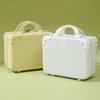 DCLOUD 14-inch Lightweight ABS Cosmetic Travel Case