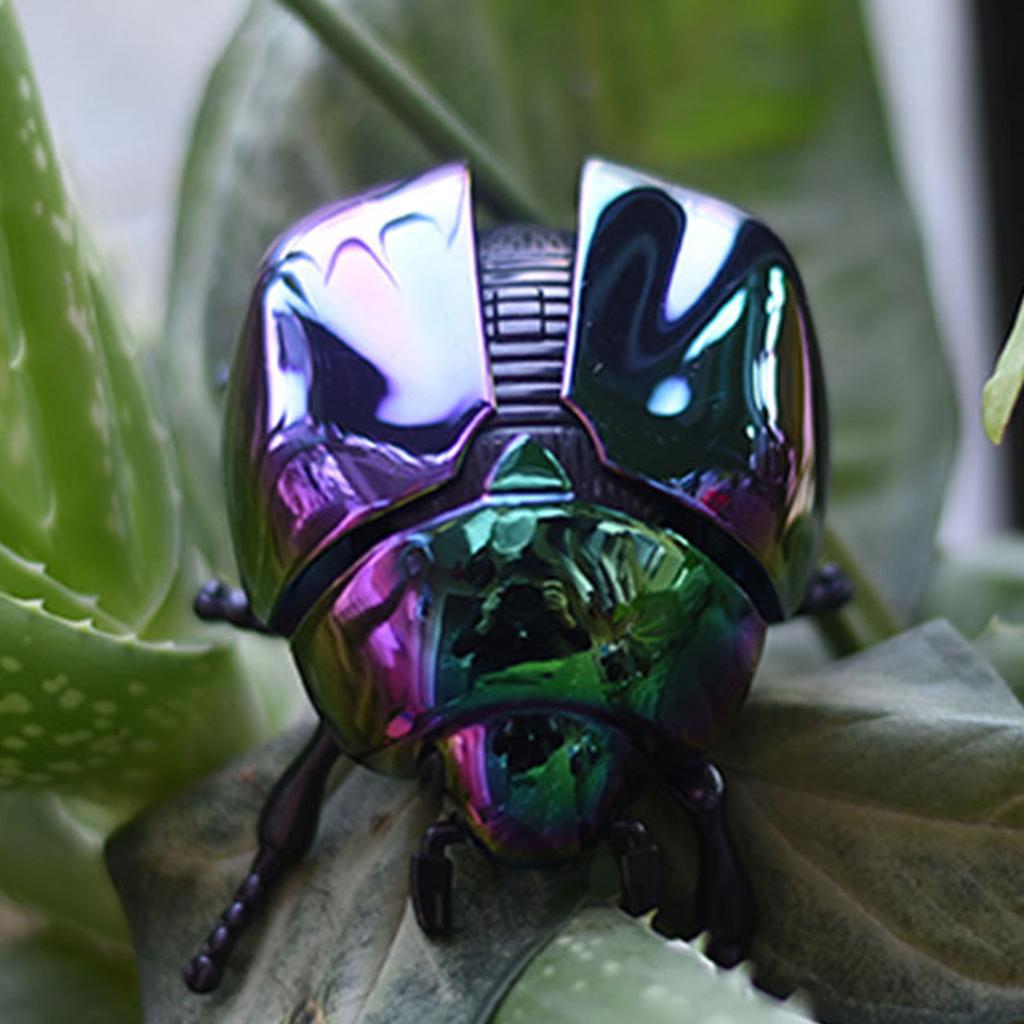 Simulation Beetle Wind Up Toy Stress Relief Crawling Insect For Kids Adult Educational Science Exploration Learning Toy