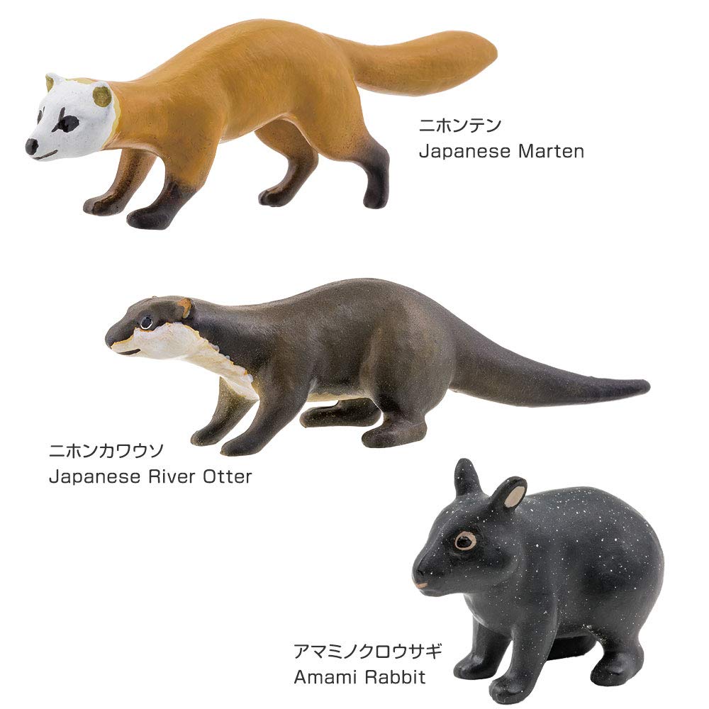 COLORATA Japanese Animal Figure 3D Picture Book Animals 12 Types Instruction Manual Realistic Figure Box Toy Educational Toy Present Gift Food