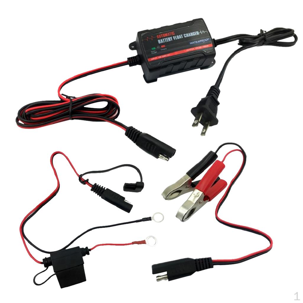 

Motorcycle Marine RV Electric Maintainer Battery 6V US