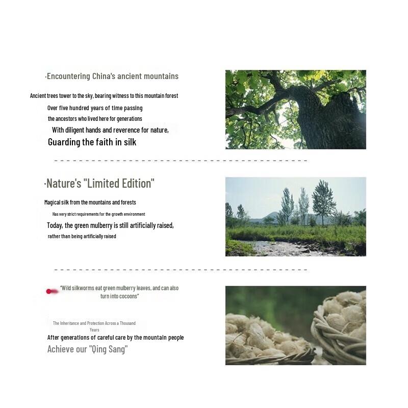 Mercury Home Textiles All-Season Tussah Silk Quilt