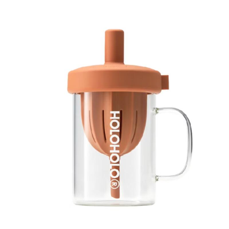 HOLOHOLO Tea Infuser Glass Water Bottle with Straw