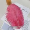 White Ostrich Feathers 15-80cm for Lighting, Wedding Aisle Decor, Photo Props, and Vase Ornaments