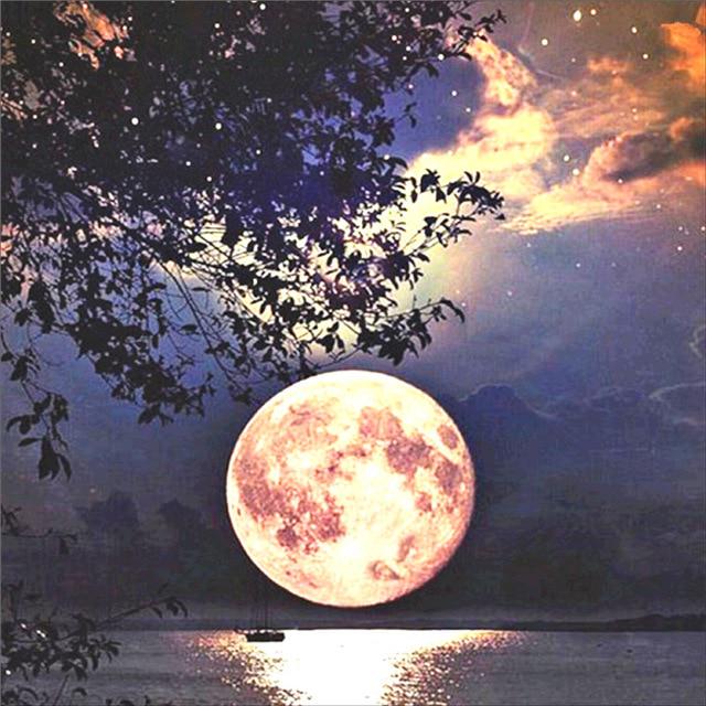 Pictură cu diamant 5D DIY, cerc complet, peisaj, arbore, reflecție, broderie, pictură cu punct de cruce