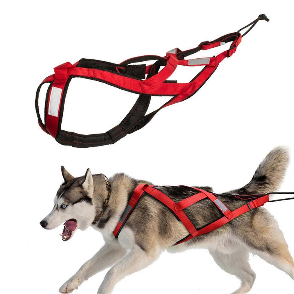 Adjustable Dog Pulling Harness for Large Breeds Reflective Pet Chest Strap for Running Biking and Skiing Outdoor Sports Red M