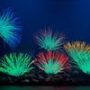 Luminous Aquarium Silicone Sea Anemone Decoration - Medium Size