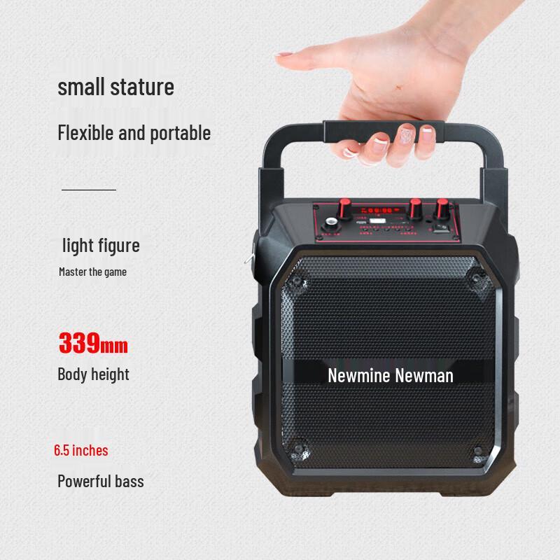 Newman K97 Portable Bluetooth Speaker with Radio & Karaoke CN plug (adapter included)