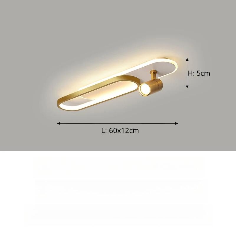Modern Minimalist LED Ceiling Lamp with Spotlights Indoor Home Living Room Dining Room Bedroom Decorative Lighting