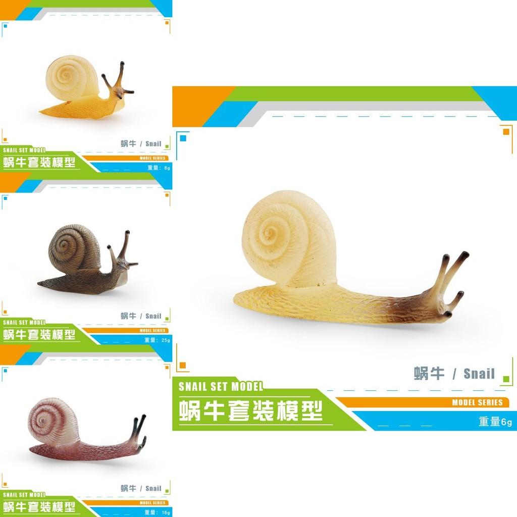 Vibrant Simulated Snail Figurines For Outdoor Garden And Indoor Home Decor