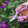 Gartenschere mit breiter Klinge aus Edelstahl für Blumengestecke und Rückschnitt