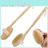 Convenient And Versatile Natural Bristle Shower Brush With Detachable Design