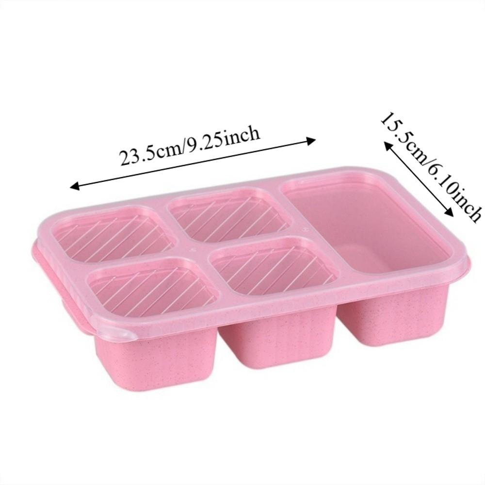 Plastic Fruits Box Transparent Lid Food Storage Box Fresh-keeping Lunch Box  Students