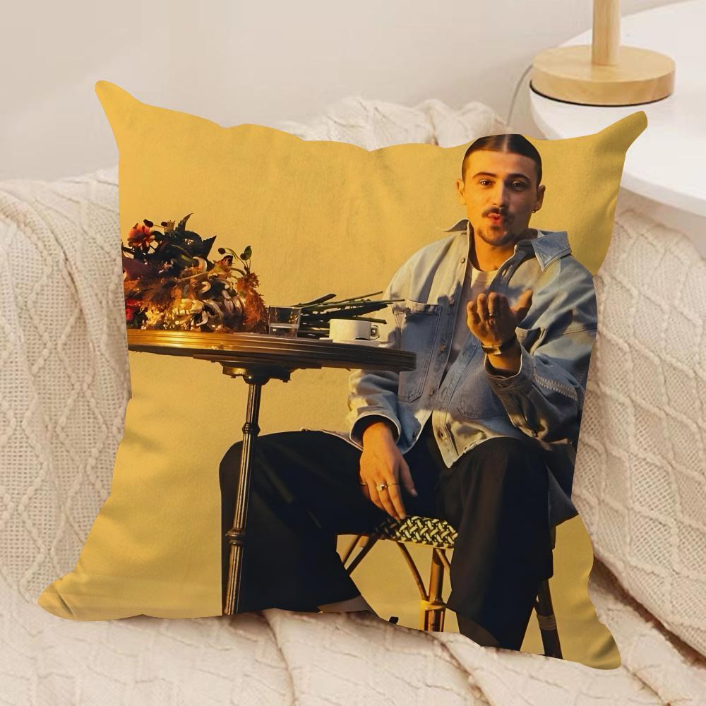 

Singer P-Pierre Garnier Cushion Cover Silky Short Plush Sofa Pillow Cover Hidden Zipper Soft Dustproof Case for Home Decor 30cmx30cm