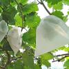100pcs Breathable Grapes Fruit Grow Bags White Grape Protection Cover Plant Grow Bag  Garden Tools