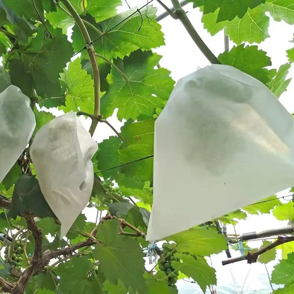 100pcs Breathable Grapes Fruit Grow Bags White Grape Protection Cover Plant Grow Bag  Garden Tools