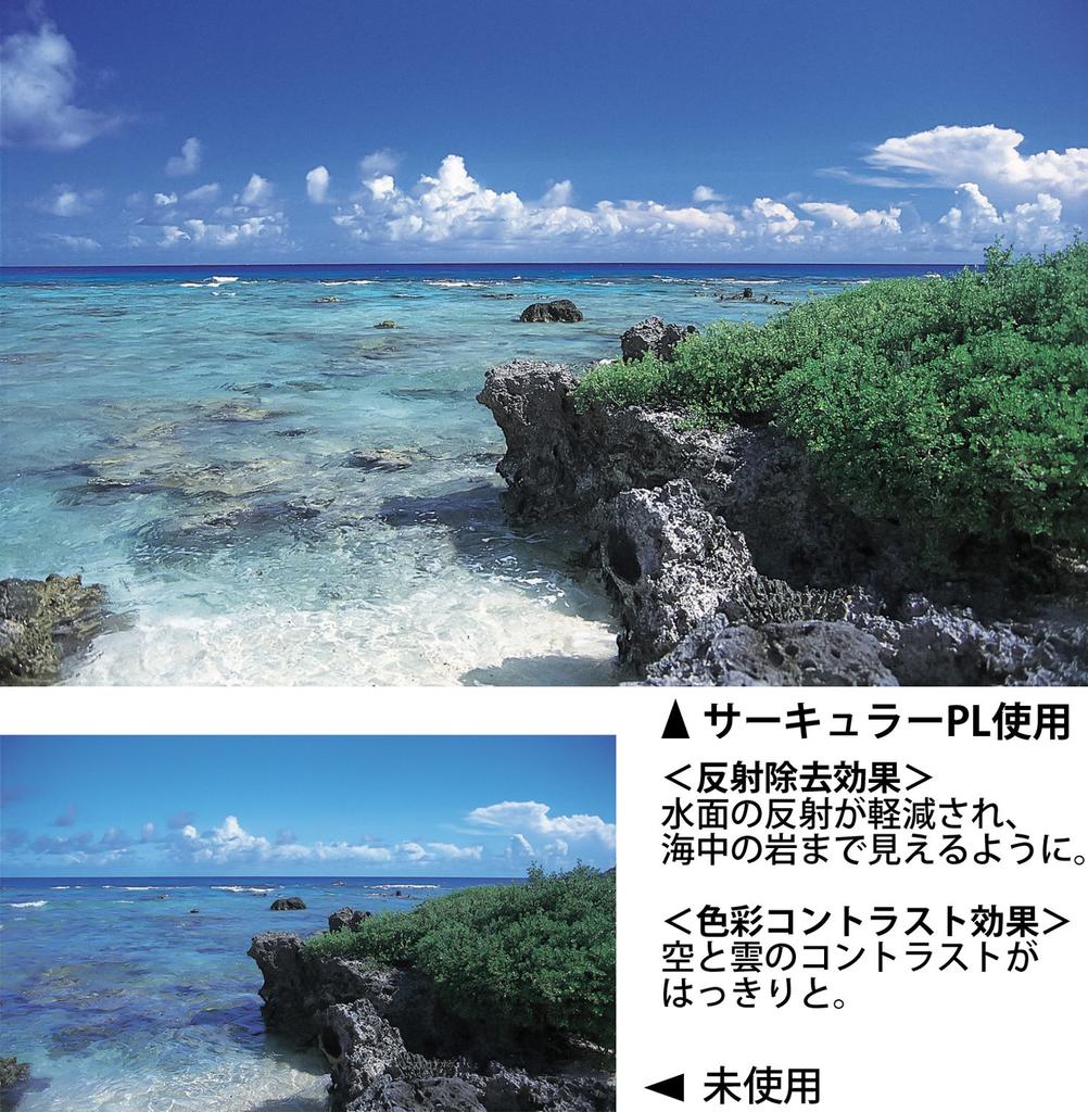 Kenko Kamerafilter PRO1D WIDE BAND Circular PL 55mm zur Kontrasterhöhung und Entfernung von Reflexionen 515525 (W.)