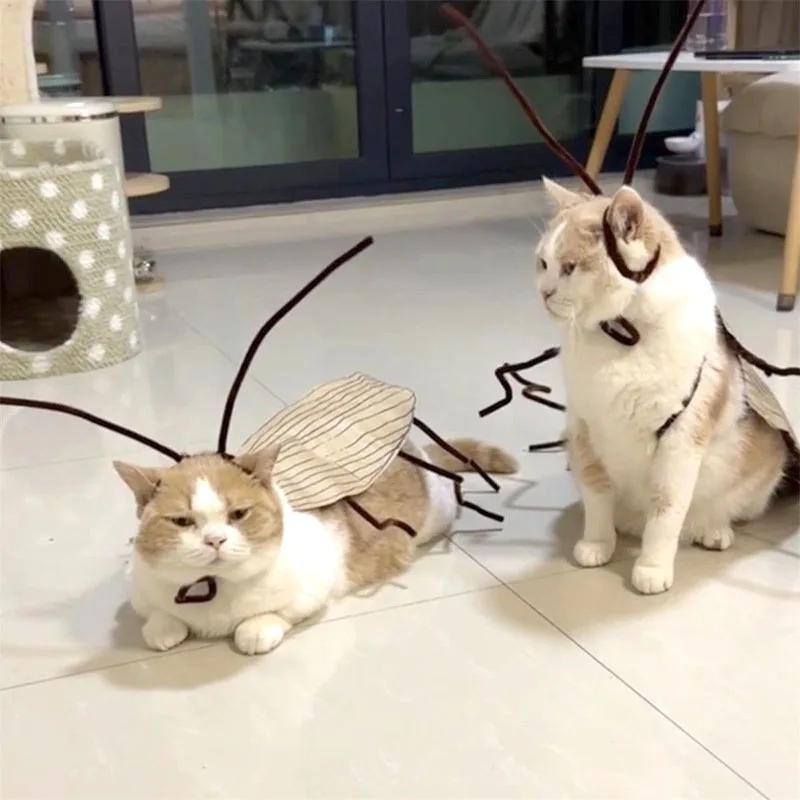 Lustige Kakerlakenkleidung für Katzen-Cosplay Verkleidung DIY-Materialpaket | Kakerlakenkostüm für Kätzchen | Atmungsaktive Haustierbedarf