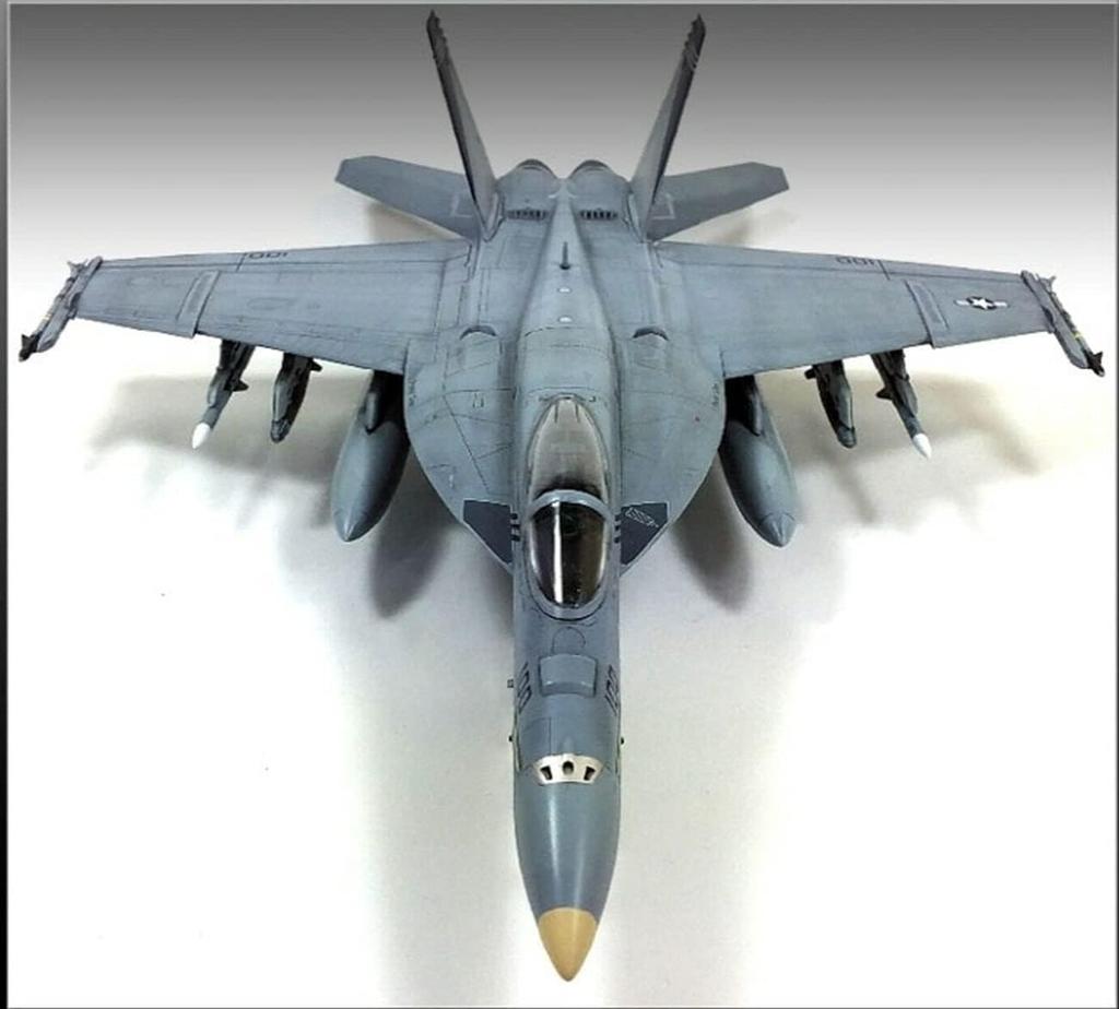 Academy 1/72 Scale US Navy F/A-18E VFA-143 Pukin Dogs Plastic Model Kit 12547