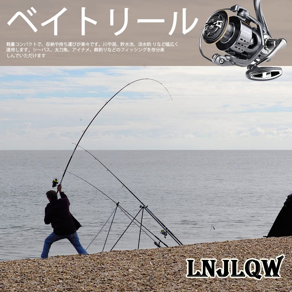 LNJLQW Spinning Reel Bait Reel Sea Reel Left and Right Interchangeable Reel Comfortable Freshwater Saltwater Fishing Ideal for Beginners DA3000