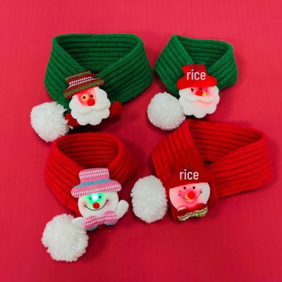 Abbigliamento e scarpe – Accessori per cani