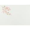 Daikoku Kogyo "Commercial Use" Table Mats, Cherry Blossom Design, 26 X 38 Cm, 100 Sheets, High-Quality Paper