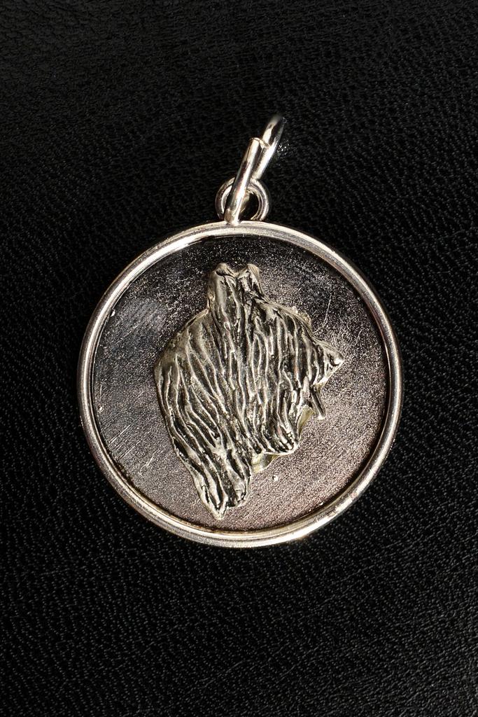 Briard, Berger de Brie – Necklace with a dog, pendant for a dog mom | Art-Dog