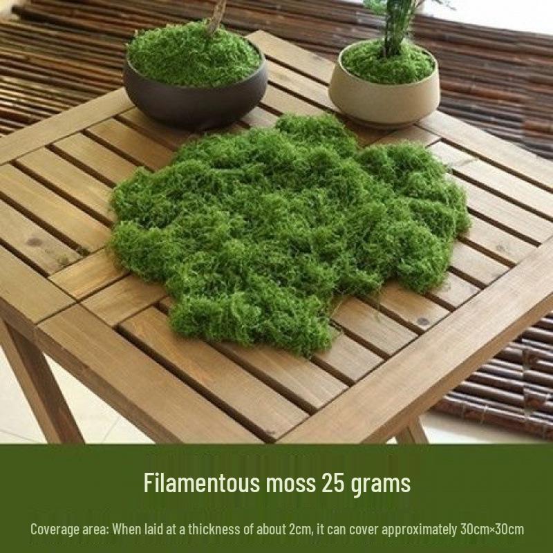 Woolen Landscape Wall with Simulated Moss and Rockery Stones for Gardens and Tanks