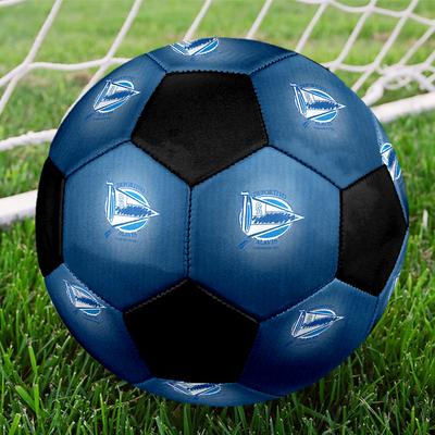 SIZE 5 Deportivo Alavés Soccer Ball Colorful All Ages Machine Stitched PVC Competition Ready Durable High-Bounce