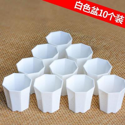 Domácí výzdoba – Dekorativní květináče