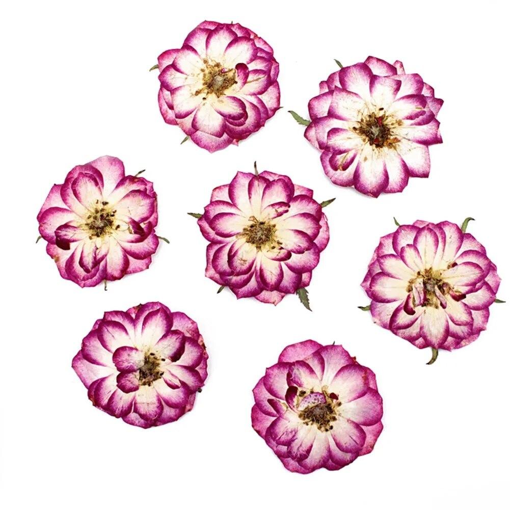 

10шт сушеные цветы Diy Art Craft аксессуары для дома натуральные цветы наклейки