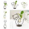 With Metal Holder Heart Glass Vases Cute Wrought Iron Vase Simple Cat Shape Hydroponic Vases  Table