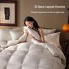 Jingdong Zhizao Duvet D'oie 95% White Goose Down Comforter