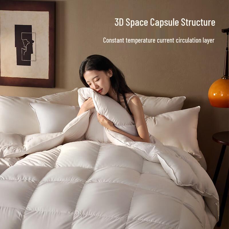 Jingdong Zhizao Duvet D'oie 95% White Goose Down Comforter
