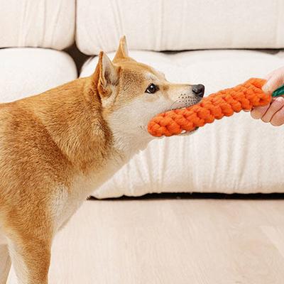 Karotte Hunde-Seilspielzeug Interaktives Baumwollseil Hunde-Kauspielzeug für aggressive Kauer Welpen-Zahnreinigungsspielzeug für kleine mittelgroße Hunde