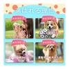 Pet Toy for Dogs, Chew Toy for Small Dogs, Talking Dinosaur Stuffed Toy, Dental Care, Stress Relief, Suitable for Indoor Play Puppies, Safe