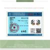 Platinum-Plated Chameleon Stud Earrings For Men And Women, Cute Animals S925 Silver Body Earrings Bse587