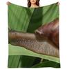Large Brown Snail Ahatina On Green Leaf - Funny Science Biology Gift Throw Blanket Soft Blankets For Bed Warm Winter Blankets