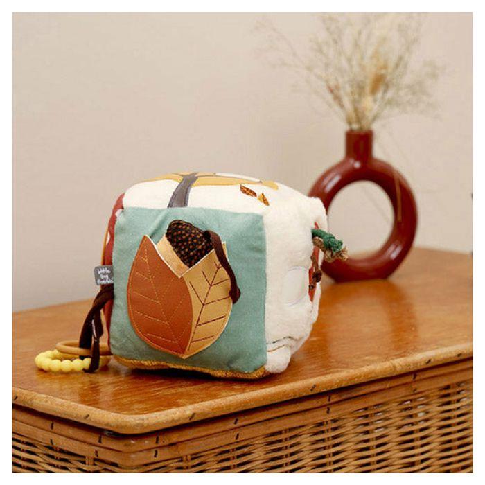 Cube d'activite - La Foret