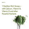 Organic Moringa Powder 200g | From Pure Drumstick Leaves | Gives Natural Energy