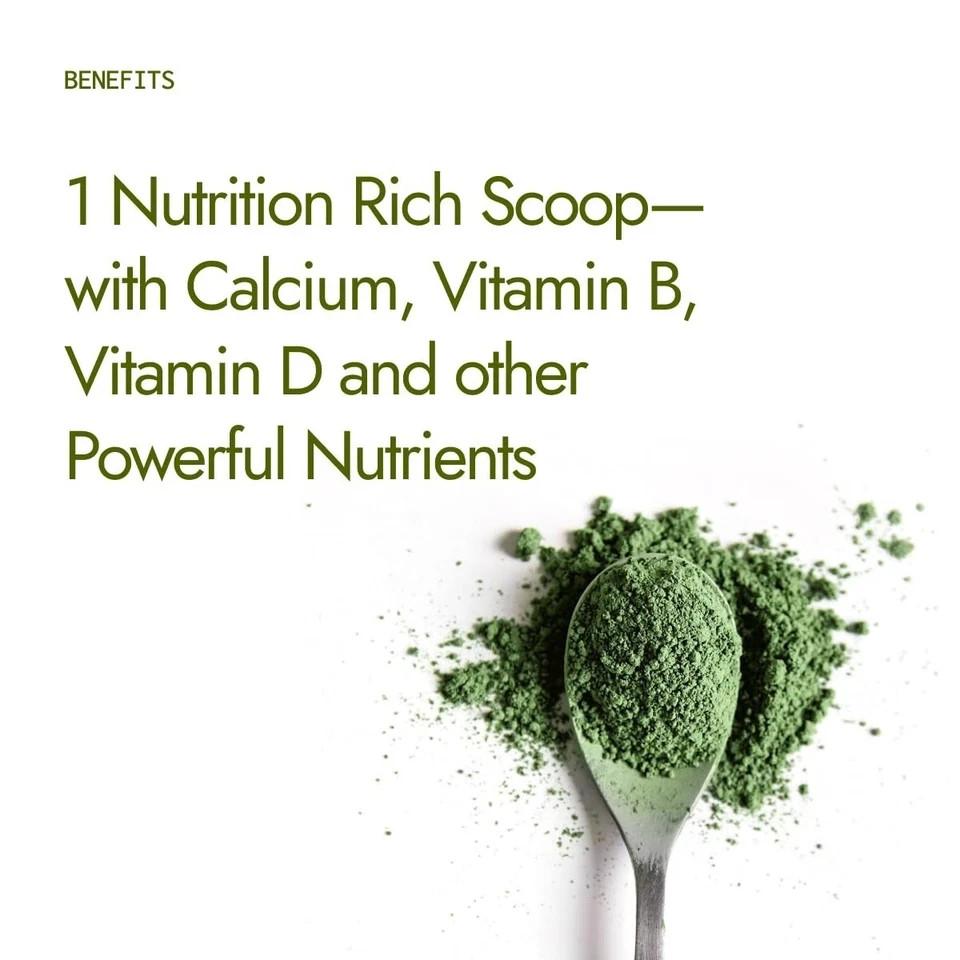 Organic Moringa Powder 200g | From Pure Drumstick Leaves | Gives Natural Energy