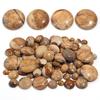 5/10 Stück Naturstein Cabochon 4-25mm Bildstein Runde Flache Rückseite Cabochon Perlen Für Schmuckherstellung DIY Ring Anhänger Zubehör