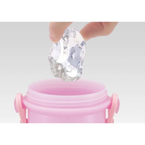 Skater Children's Plastic Water Bottle, Princess Disney, 2020 New Design, 480ml, PSB5SAN