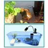 For Turtle Vivarium Box for Crayfish Terrapin Tortoise for Turtle L